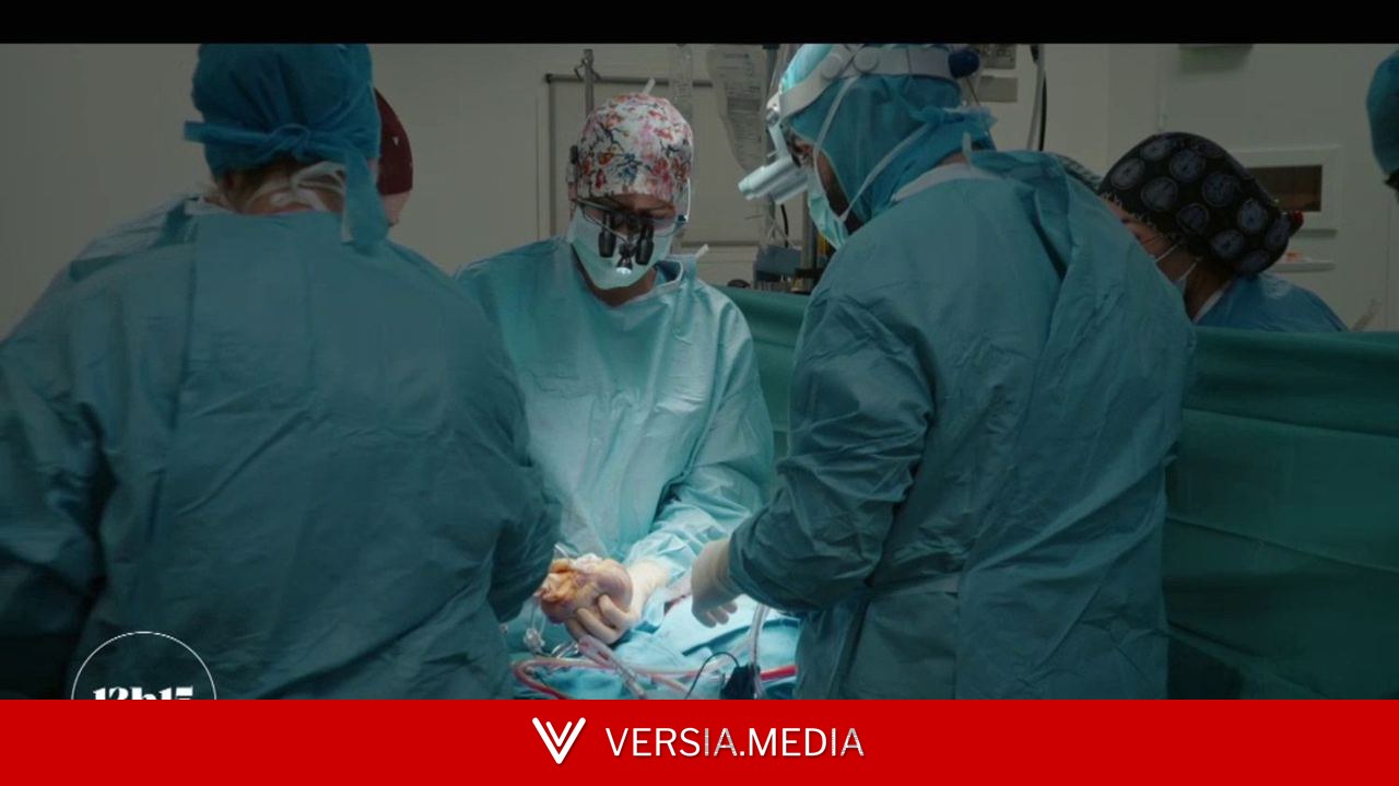 VIDEO. Transplantation cardiaque : une chaîne humaine pour une intervention vitale