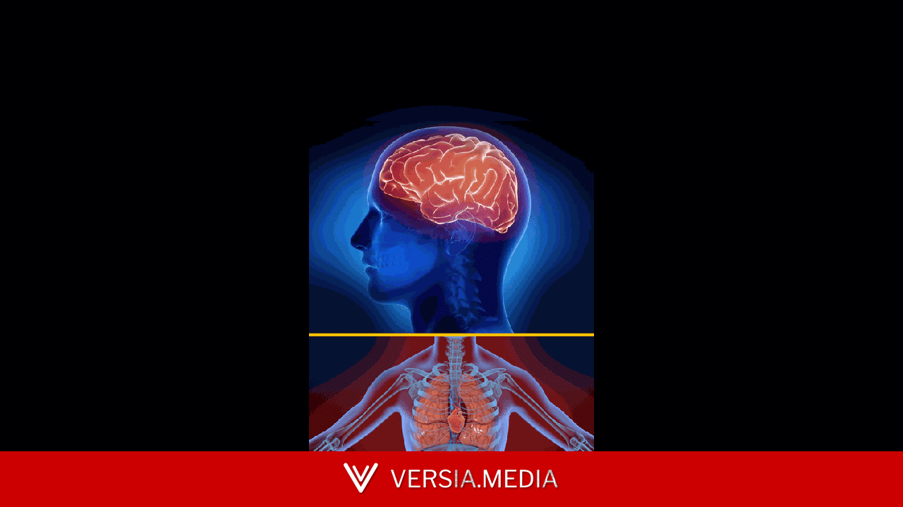 Quels sont les risques de la chaleur sur le cerveau ?